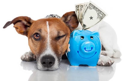 Why Brain Training for Dogs™ Is So Effective?
